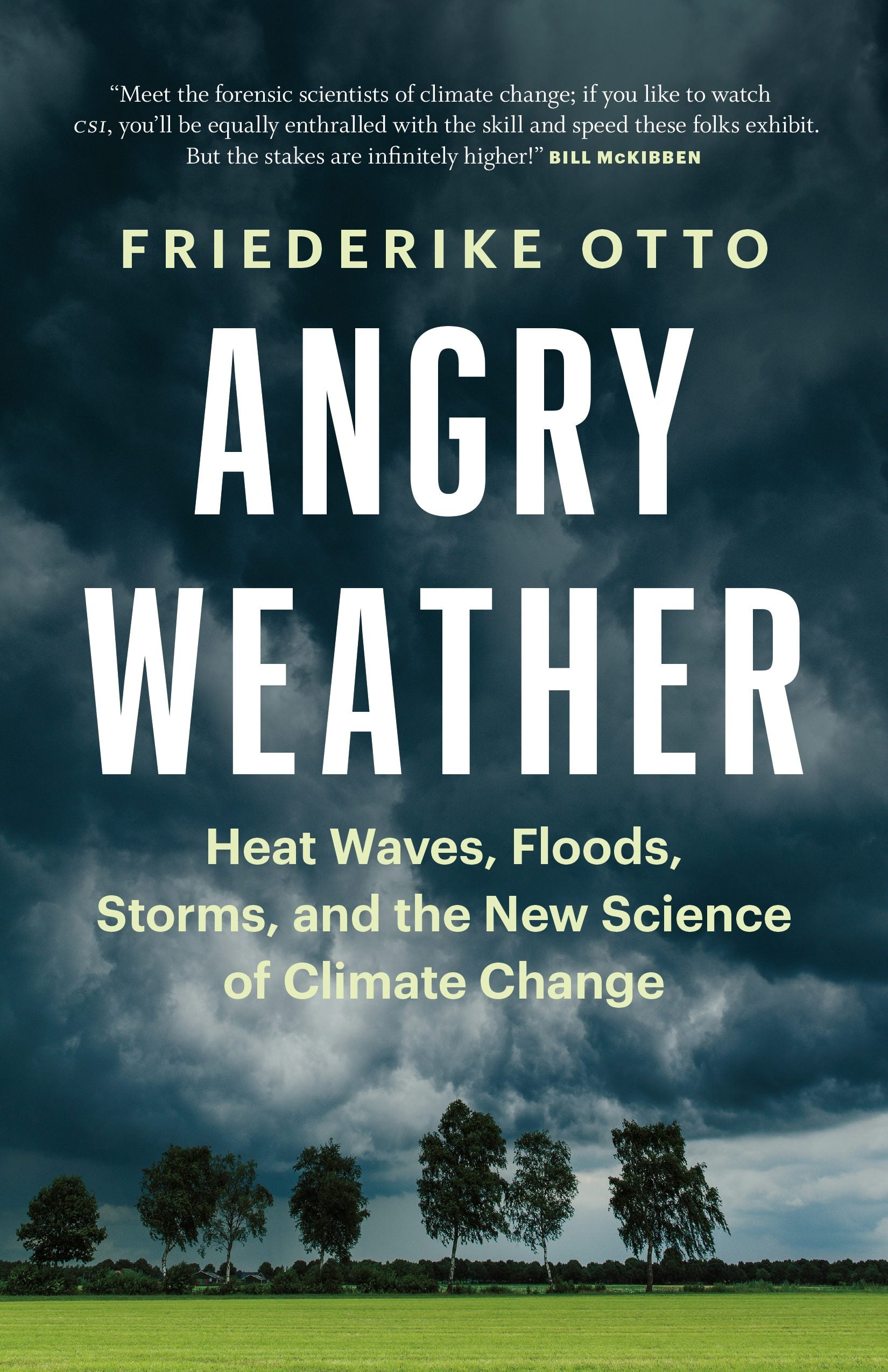 Book cover image for Angry Weather ISBN: 9781771646154